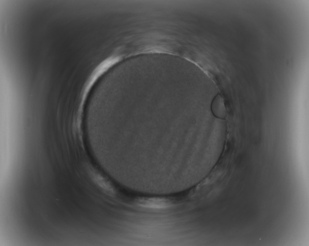 X0000084040104200703092040