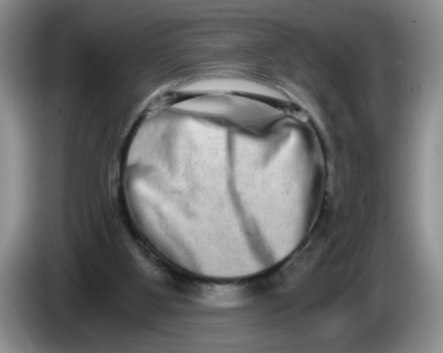 X0000084040107200703092040