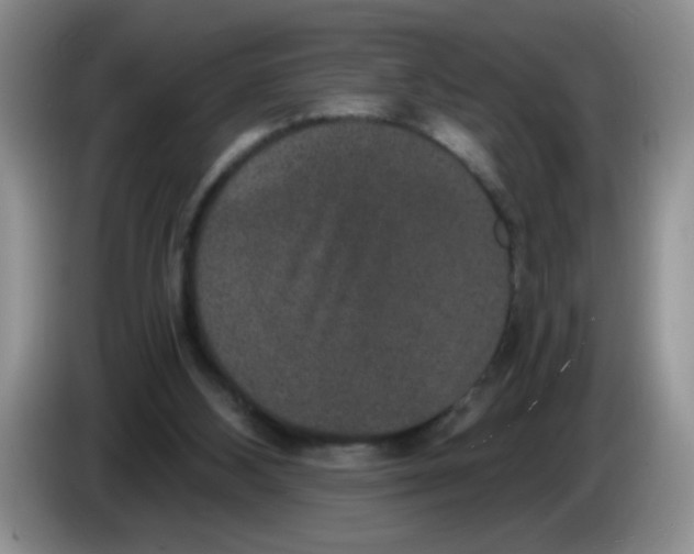 X0000084040108200703092040