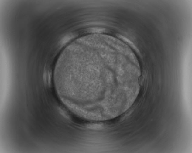 X0000084040110200703092040