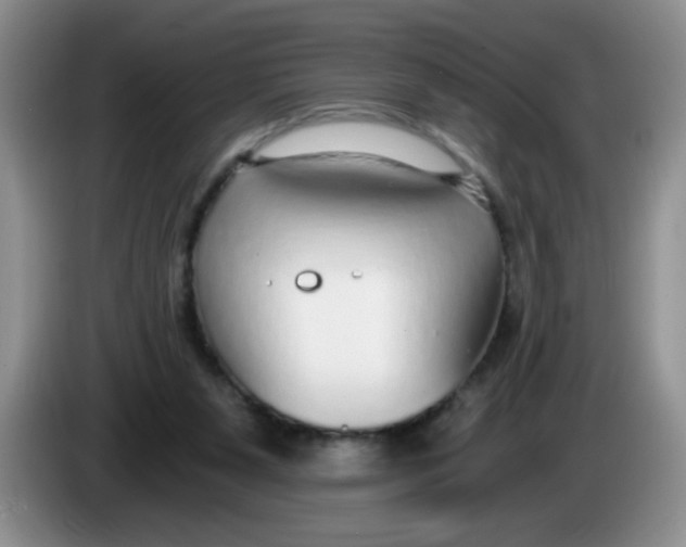 X0000084040111200703092040