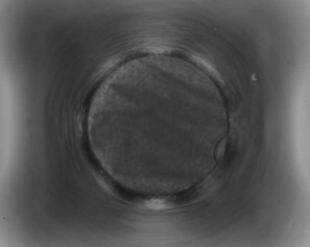 X0000084040114200703092039