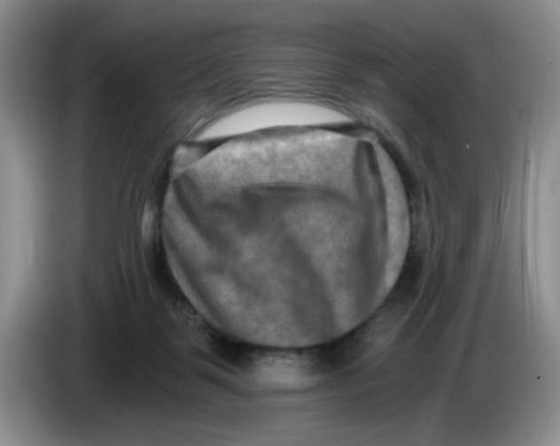 X0000084040123200703092039