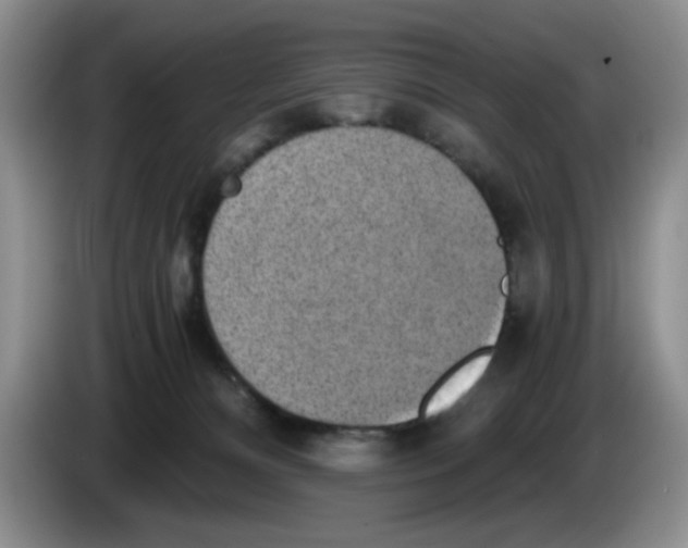 X0000084040128200703092039