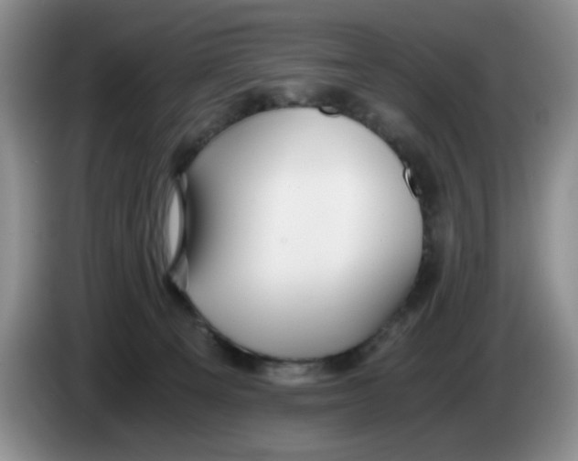 X0000084040129200703092039