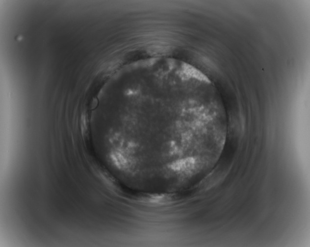 X0000084040130200703092039