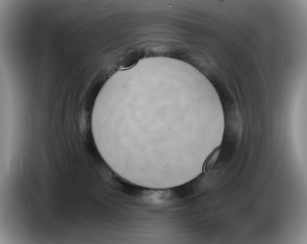 X0000084040135200703092039