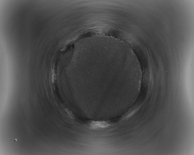 X0000084040137200703092039