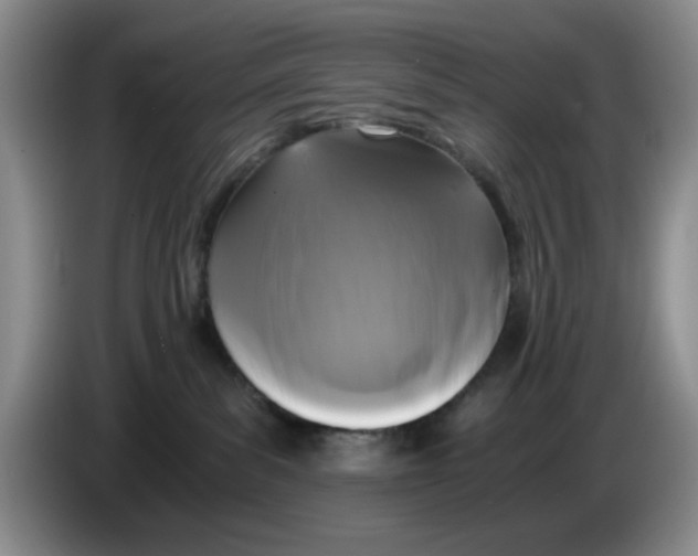 X0000084040139200703092039