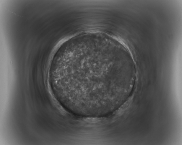 X0000084040145200703092038