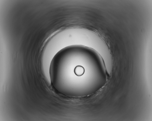 X0000084040146200703092038