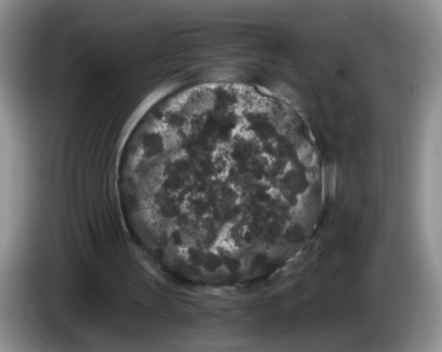 X0000084040147200703092038