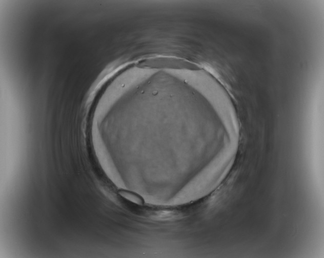 X0000084040151200703092039