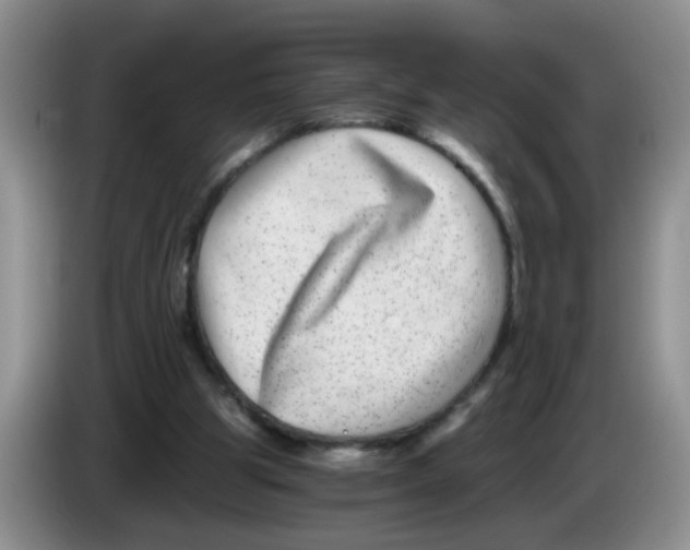 X0000084040153200703092039