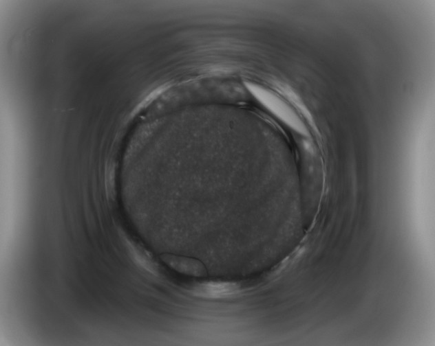 X0000084040154200703092039