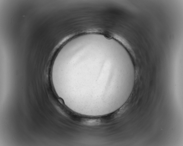 X0000084040155200703092039