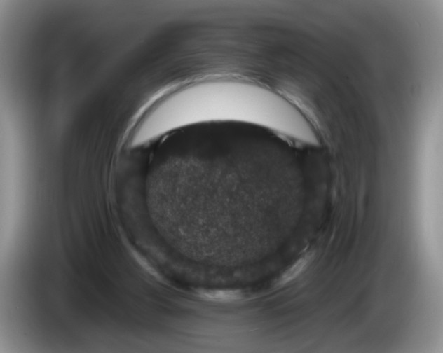 X0000084040156200703092039