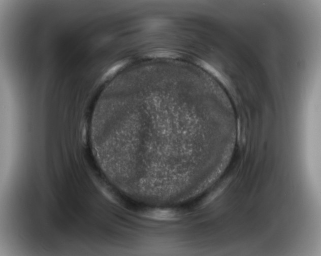 X0000084040157200703092039