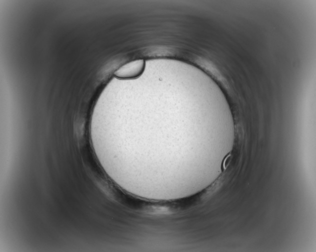 X0000084040159200703092039