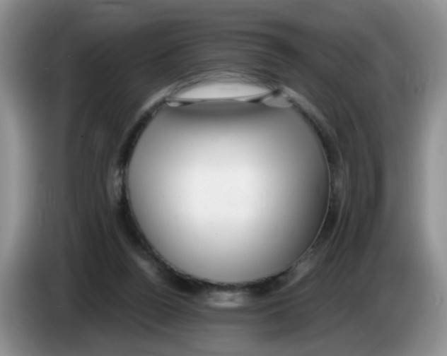 X0000084040160200703092039