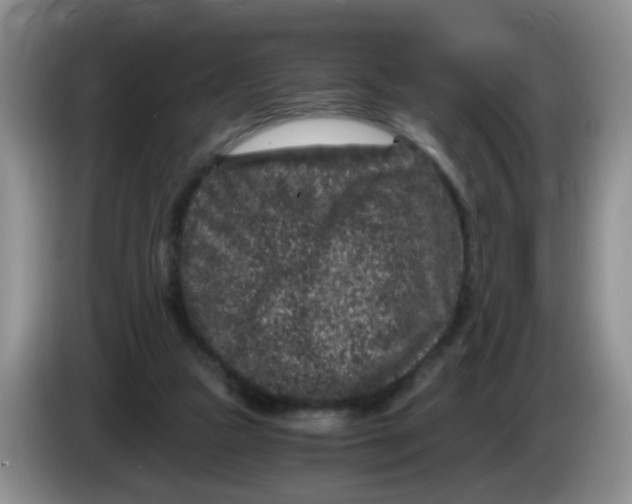 X0000084040161200703092039