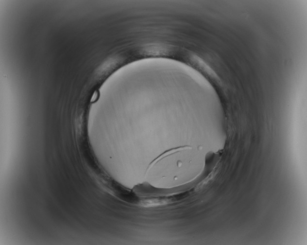 X0000084040163200703092039