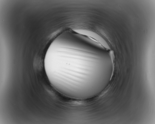 X0000084040164200703092039