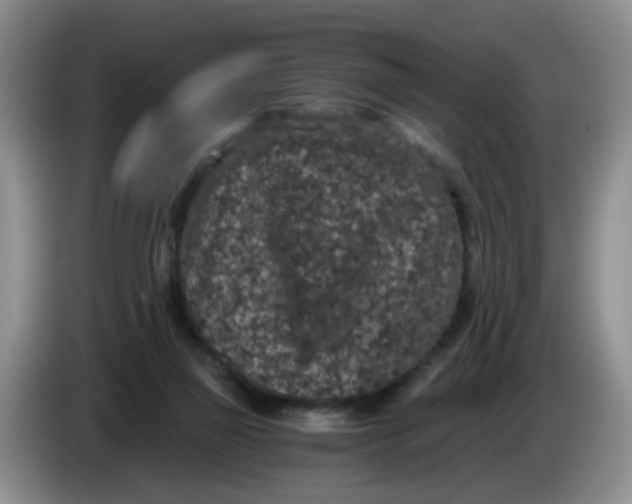 X0000084040165200703092039