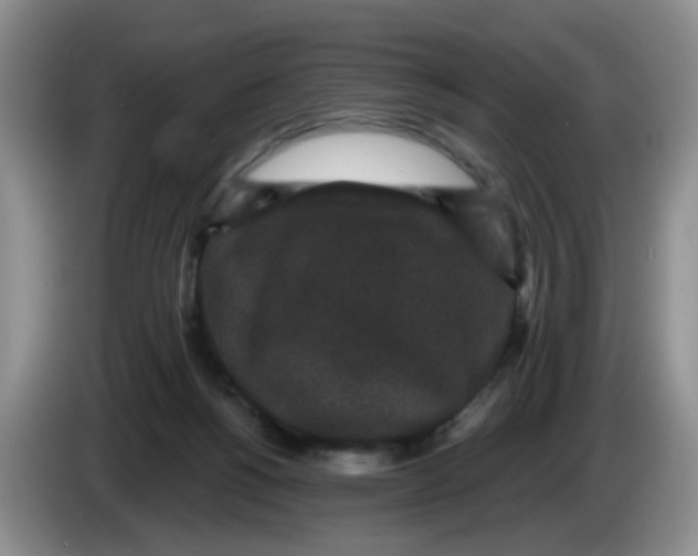 X0000084040168200703092039