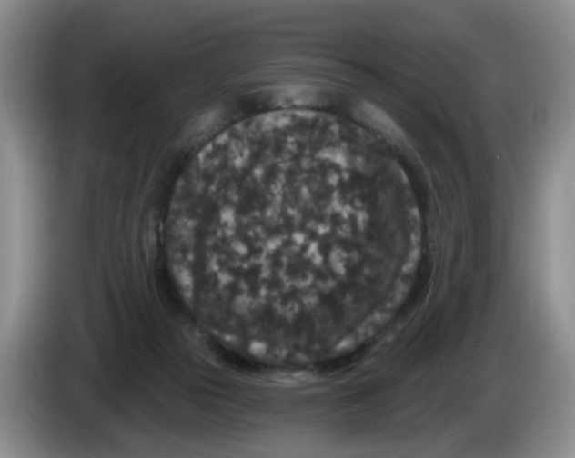 X0000084040169200703092039