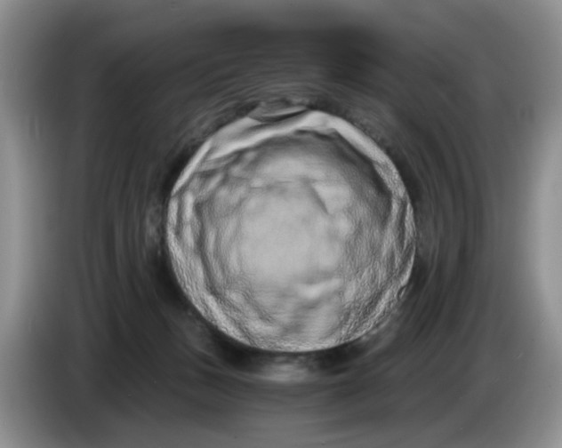 X0000084040175200703092039