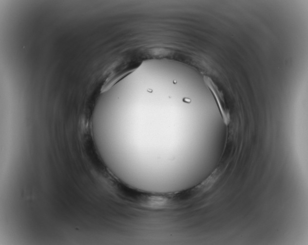 X0000084040176200703092039