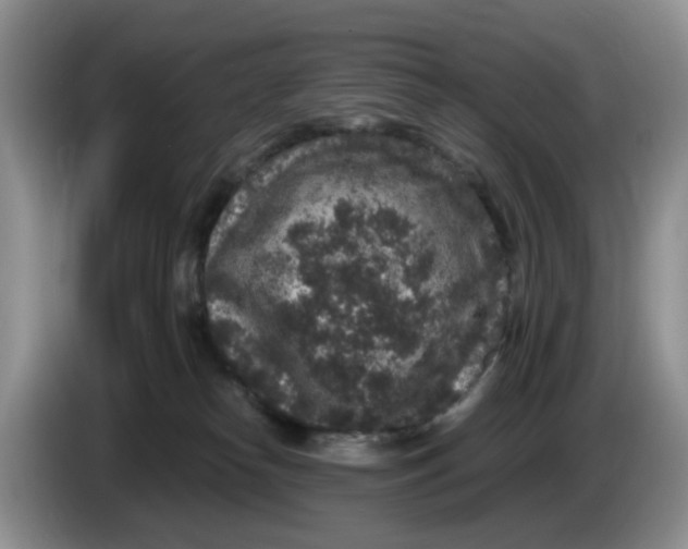 X0000084040182200703092039