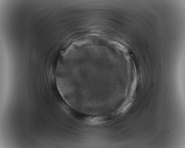 X0000084040186200703092039