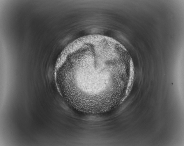 X0000084040189200703092039