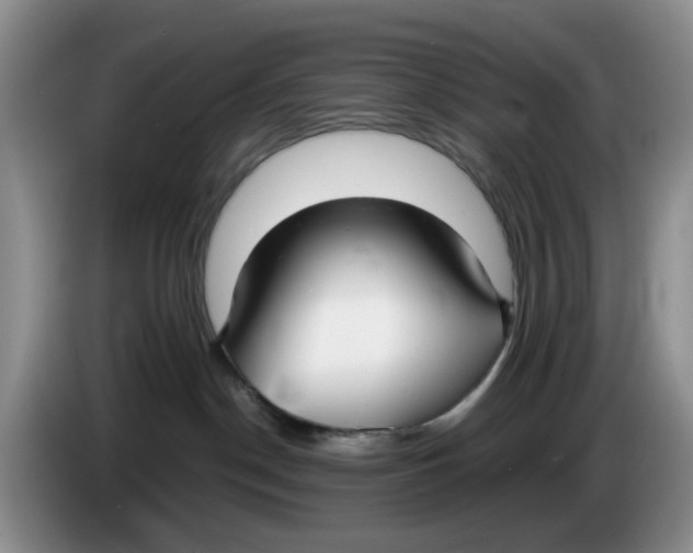 X0000084040190200703092039