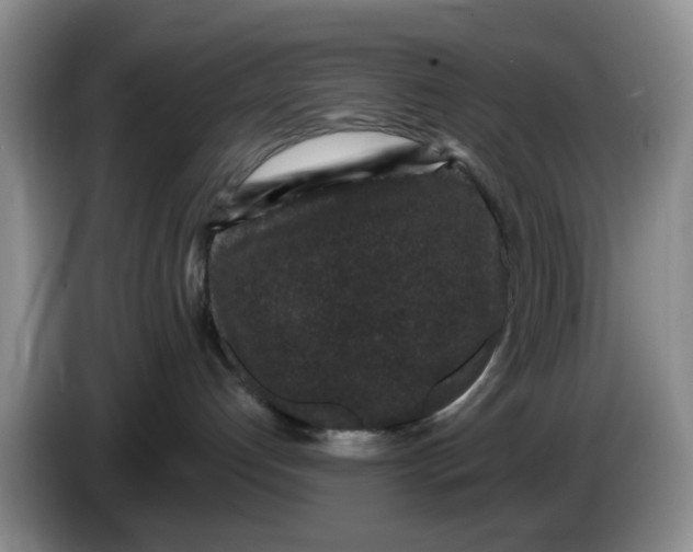 X0000084040192200703092039