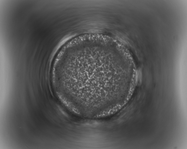 X0000084040195200703092038