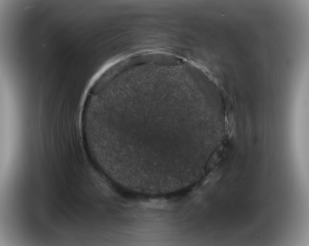 X0000084040196200703092038