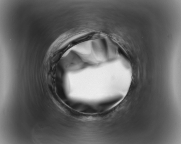 X0000084040197200703092038