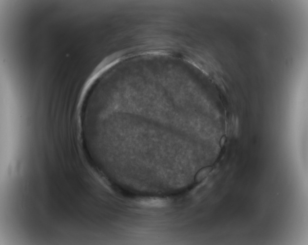 X0000084040198200703092038