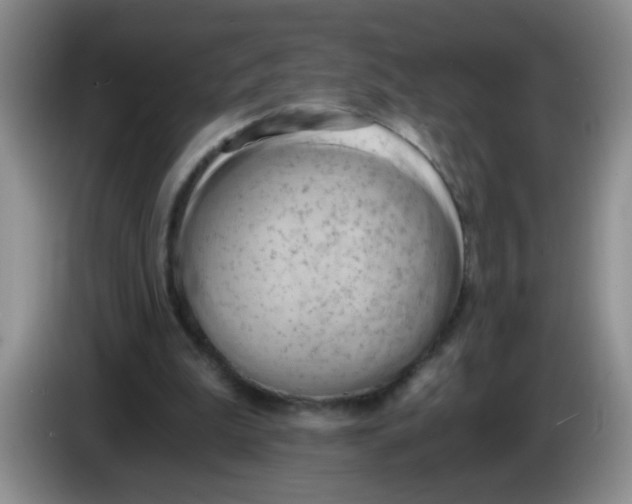 X0000084040199200703092038