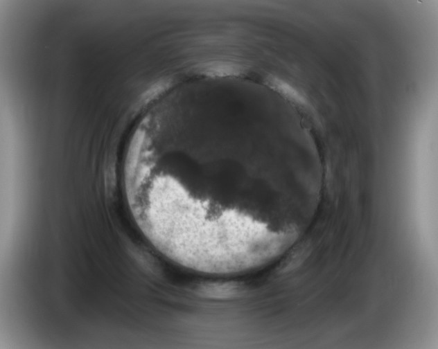 X0000084040202200703092038