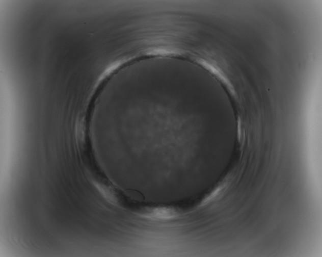 X0000084040204200703092038