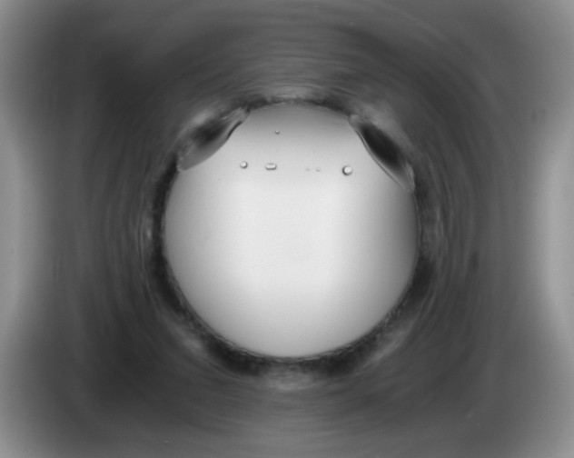 X0000084040207200703092038