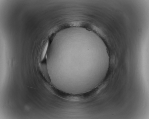 X0000084040209200703092038