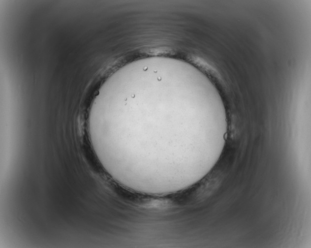 X0000084040210200703092038