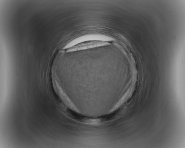 X0000084040217200703092038