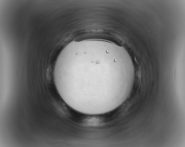 X0000084040218200703092038