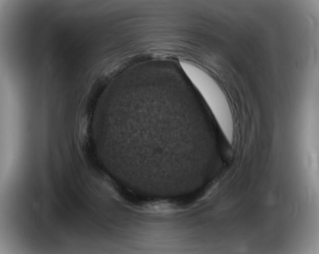 X0000084040219200703092038